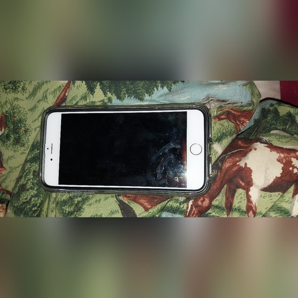 Iphone 6S plus with Case